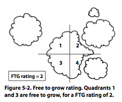 Figure 5-2. Free to grow rating