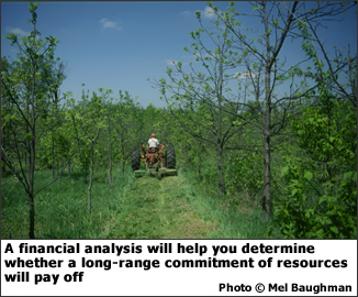 A financial analysis will help you determine whether a long-range commitment of resources will pay off