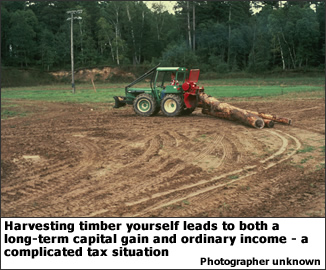 . Harvesting timber yourself leads to both a long-term capital gain and ordinary income – a complicated tax situation.