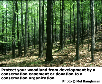 . Protect your woodland from development by a conservation easement or donation to a conservation organization