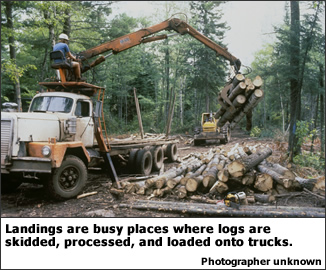Landings are busy places where logs are skidded, processed, and loaded onto trucks. 