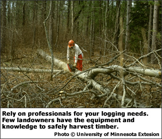 Rely on professionals for your logging needs. Few landowners have the equipment and knowledge to safely harvest timber.