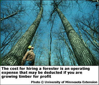 The cost for hiring a forester is an operating expense that may be deducted if you are growing timber for profit