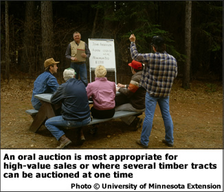 An oral auction is most appropriate for high-value sales or where several timber tracts can be auctioned at one time.