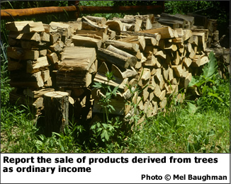Report the sale of products derived from trees as ordinary income