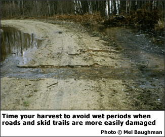 Time your harvest to avoid wet periods when roads and skid trails are more easily damaged.