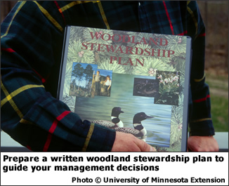 Prepare a written woodland stewardship plan to guide your management decisions
