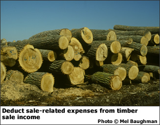 Deduct sale-related expenses from timber sale income