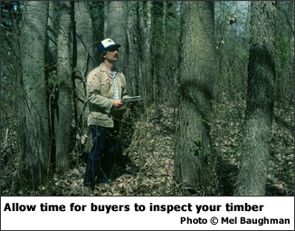 Allow time for buyers to inspect your timber.