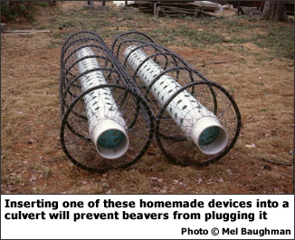 … Inserting one of these homemade devices into a culvert will prevent beavers from plugging it.