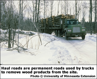 Haul roads are permanent roads used by trucks to remove wood products from the site.