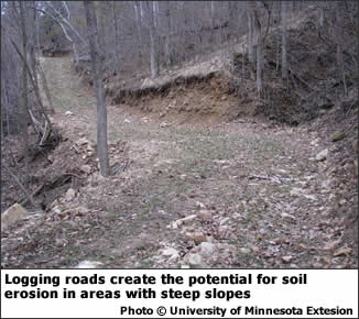 Logging roads create the potential for soil erosion in areas with steep slopes.