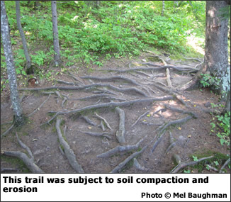This trail was subject to soil compaction and erosion