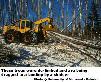 .  These trees were de-limbed and are being dragged to a landing by a skidder.