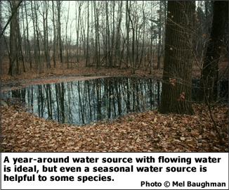 A year-around water source with flowing water is ideal, but even a seasonal water source is helpful to some species.