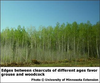 . Edges between clearcuts of different ages favor grouse and woodcock.