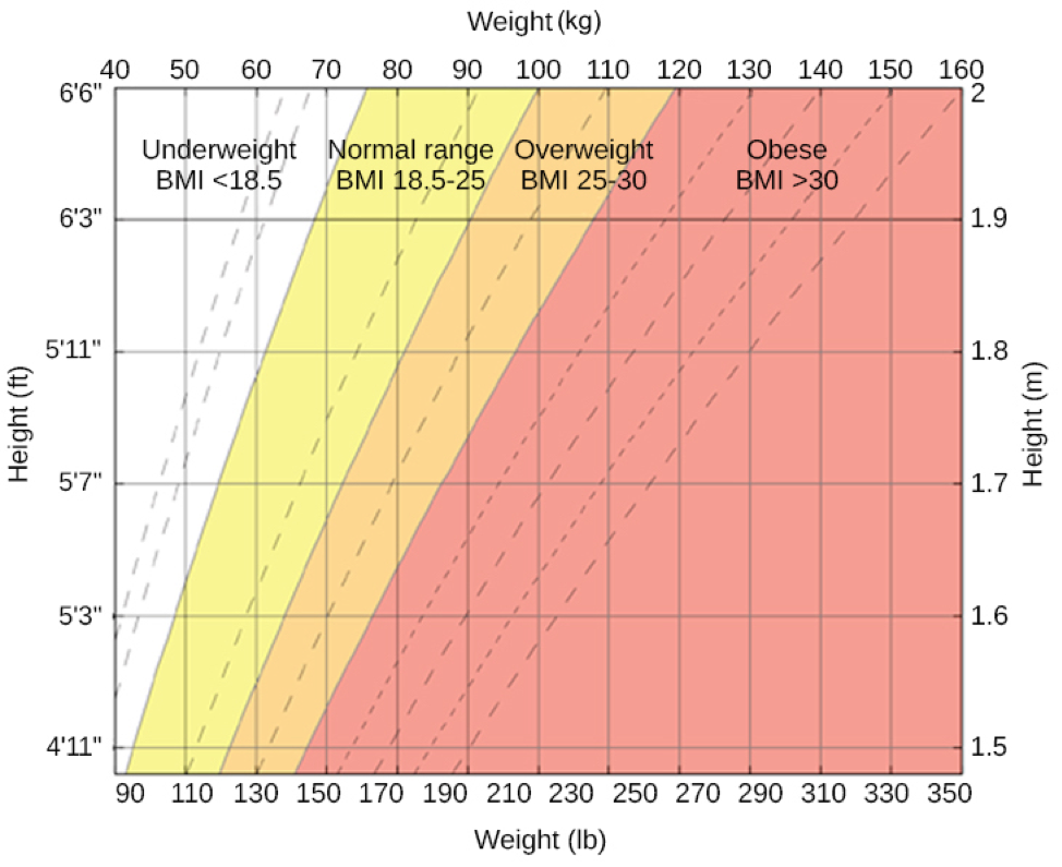A chart has an x-axis labeled “weight” (pounds/kilograms) and a y-axis labeled “height” (meters and feet/inches). Four areas are shaded different colors indicating the BMI for ranges of weight and height. The “underweight BMI <18.5” area begins at approximately 90 pounds and 4’11” and extends to approximately 160 pounds and 6’6”. The “normal range BMI 18.5–25” area covers approximately 90–120 pounds at height 4’11” and extends to approximately 160–220 pounds at height 6’6”. The “overweight BMI 25–30” area covers approximately 120–140 pounds at height 4’11” and extends to approximately 220–265 pounds at height 6’6”. The “obese range BMI >30” area covers approximately 140–350 pounds at height 4’11” and extends to approximately 265–350 pounds at height 6’6.”