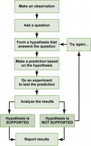 A flow chart shows the steps in the scientific method. In step 1, an observation is made. In step 2, a question is asked about the observation. In step 3, an answer to the question, called a hypothesis, is proposed. In step 4, a prediction is made based on the hypothesis. In step 5, an experiment is done to test the prediction. In step 6, the results are analyzed to determine whether or not the hypothesis is supported. If the hypothesis is not supported, another hypothesis is made. In either case, the results are reported.