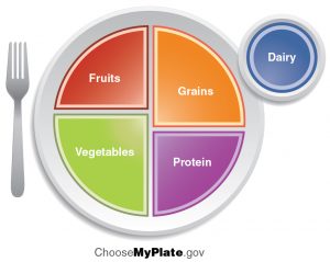 The figure shows a plate with different food groups assigned different portion sizes. <strong>Figure 1.</strong> The U.S. Department of Agriculture developed food guidelines called MyPlate to help demonstrate how to maintain a healthy lifestyle.