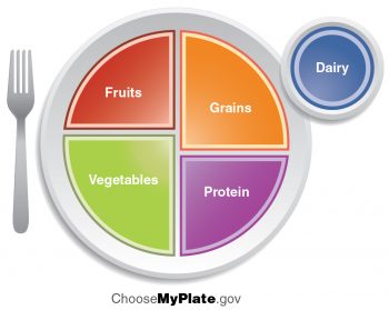 4.2 Nutrition and Diet – Human Biology