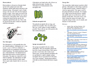Screenshot of writing and illustrations for a biology book