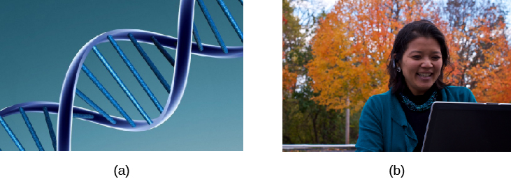 Image (a) shows the helical structure of DNA. Image (b) shows a person’s face.