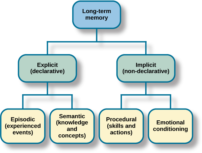 A diagram consists of three rows of boxes. The box in the top row is labeled “long-term memory”; a line from the box separates into two lines leading to two boxes on the second row, labeled “explicit (declarative)” and “implicit (non-declarative).” From each of the second row boxes, lines split and lead to two additional boxes. From the “explicit” box are two boxes labeled “episodic (experienced events)” and “semantic (knowledge and concepts).” From the “implicit” box are two boxes labeled “procedural (skills and actions)” and “emotional conditioning.”