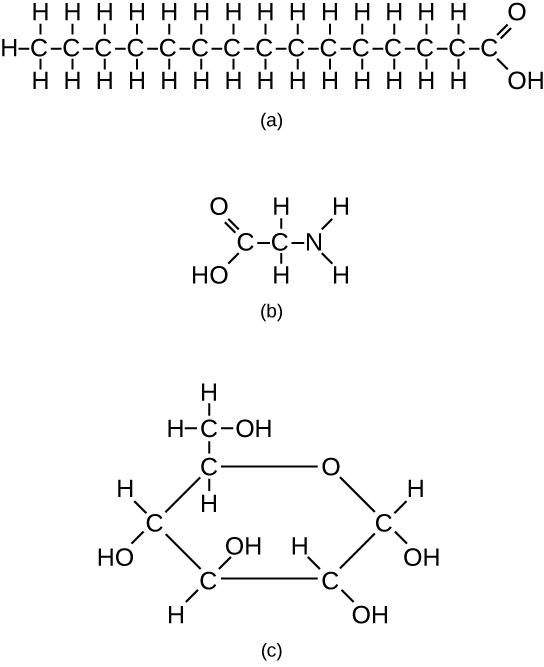 Examples of three different carbon-containing molecules. (a) Chain of 15 C molecules, first C has single OH bond and double O bond, next 13 C molecules have two single H bonds, last C has three single H bonds. (b) C-C-N backbone.  Left C has single OH bond and double O bond, central C has two single H bonds, N has two single H bonds. (c) A ring with five C molecules and one O.  First four C molecules have single OH bond and single H bond, fifth C molecule has single bond to C which has two single H bonds and single OH bond.