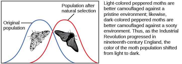 1-4-the-genetic-basis-of-evolution-human-biology-2nd-edition