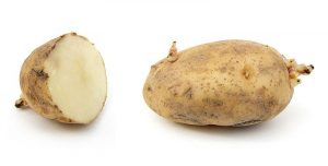 Russet potato cultivar with sprouts.