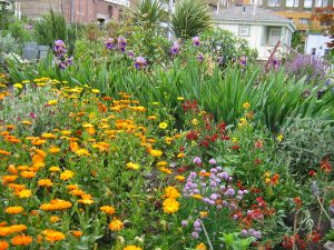 Public Flower Garden in downtown Seattle