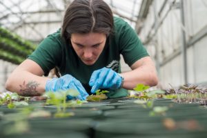 Image of horticulturist at work.