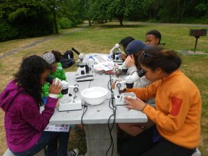 Students at a picnic table using a microscope.