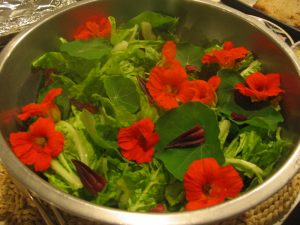 Nasturtium Roselle salad