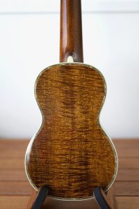 Back of a ukulele that shows parenchyma rays