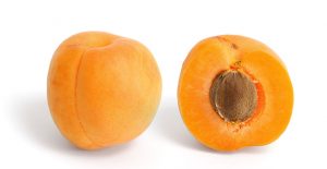 Apricot cross section