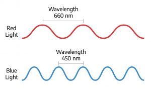 Red light/blue light wavelengths diagram