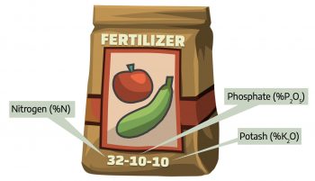 12.1 Soils, Fertility, and Plant Growth – The Science of Plants