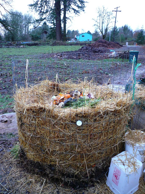 Compost pile