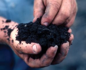 Handful of soil