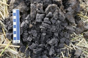 Soil structure