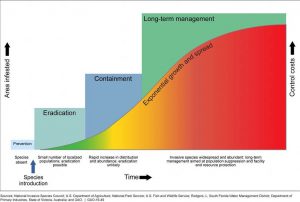 Invasion curve