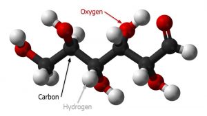 Glucose molecule