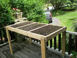 Salad table before planting