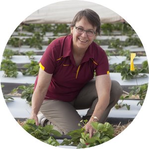 Dr. Emily Hoover kneeling in a row of strawberries on a farm