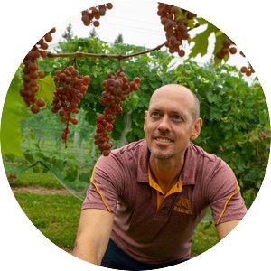 Matt Clark crouching next to grapes growing on vine