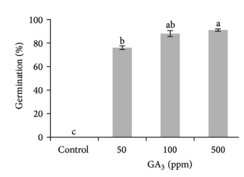 write short essay on plant hormones