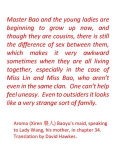 Aroma's quote: Master Bao and the young ladies are beginning to grow up now, and though they are cousins, there is still the difference of sex between them, which makes it very awkward sometimes when they are all living together, especially in the case of Miss Lin and Miss Bao, who aren't even in the same clan. One can't help feel uneasy. Even to outsiders it looks like a very strange sort of family.