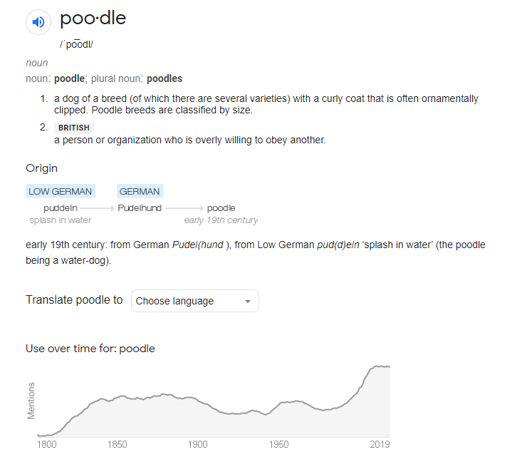 Google search engine result of the word "poodle"