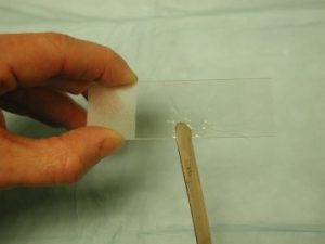 Blade with skin sample placed on microscopic slide with mineral oil